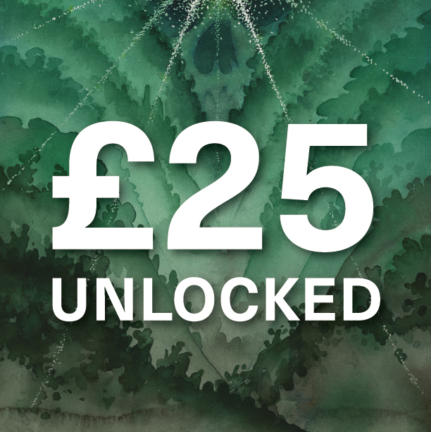 £25 unlocked image tile